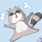raccoon