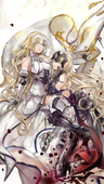 贞德&贞德〔Alter〕