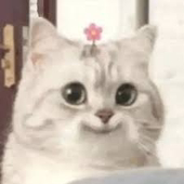 Ayxun