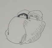 小f_Official