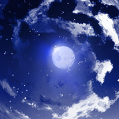 冬空