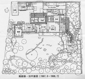 白花豆