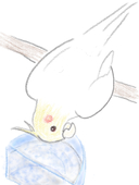 せぶじぇふ