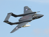 sea vixen