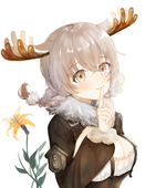 はちこ