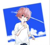 ネコシュウ