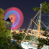 桐嶋あゆむ