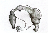 虹色カレー