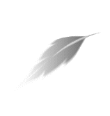 上総