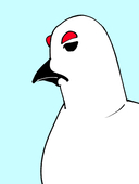 ももも
