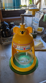 コアラのアイスやさん