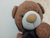 MVBear