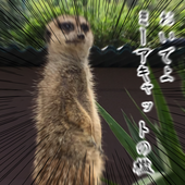 むぎちょこ