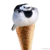 拂赫伯袅