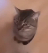 Naduvil