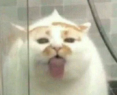 山岚