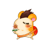 きのみ