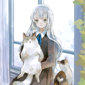 月ノ茶 まりも