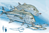 釣り職人