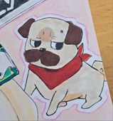 mamoru