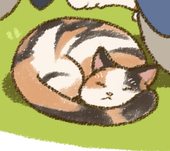 そふかう