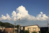 音痴のおみず