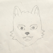 狼