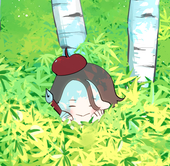 minota