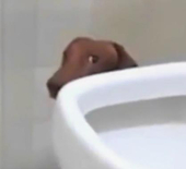 田中奶牛