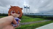 通りすがりのモルモット