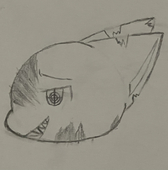 てとらこんたごん