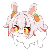 毛子兔兔