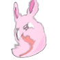 YEE_NoWoolPlace