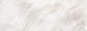○