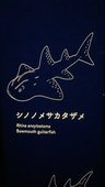 語弊餅
