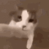 siuuuu