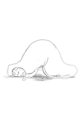 ササセ