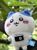 Ary