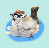 ちびまめや