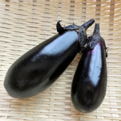 なすの素揚げ