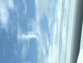 井野款