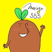 モリンガ555