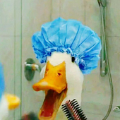 大张超超