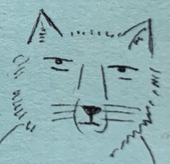 ディット