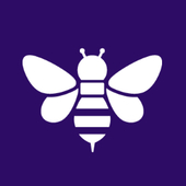 の