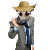 Mr.Perrozuela
