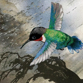 ColibrÍ