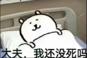 大概是汤