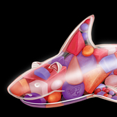 Kindle Shark