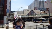 えのしまあなご